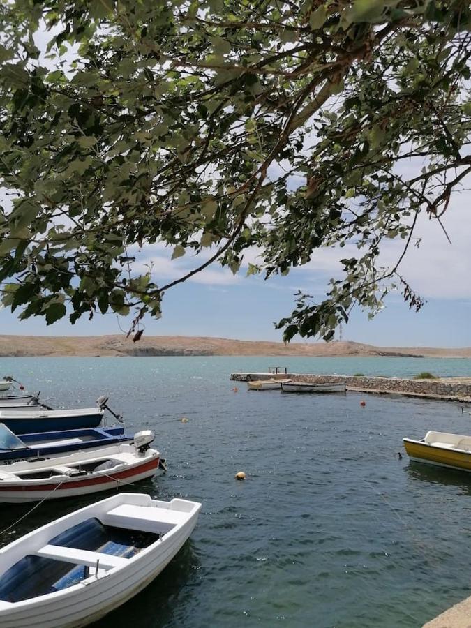 Apartman Lidija Dinjiška Kültér fotó