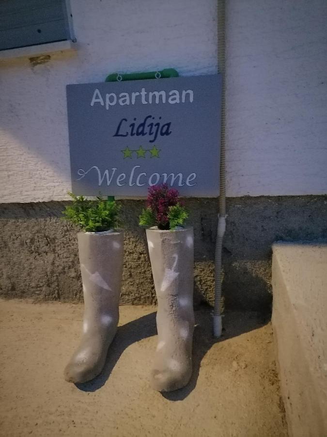 Apartman Lidija Dinjiška Kültér fotó